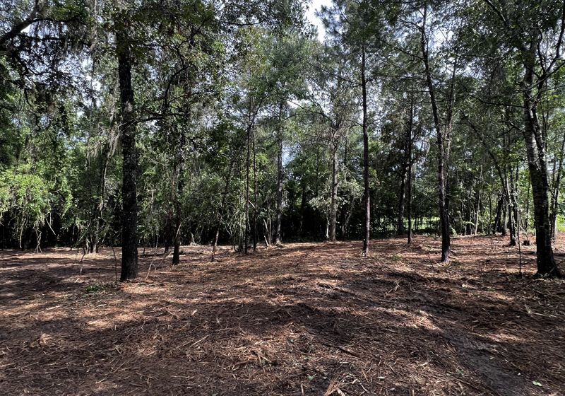 Bush Hogging service by Rowdy Forestry