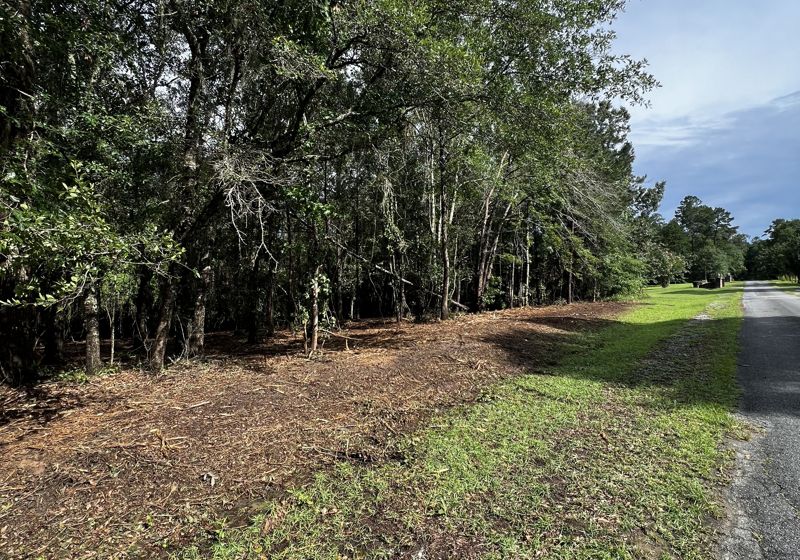 Land Clearing service by Rowdy Forestry