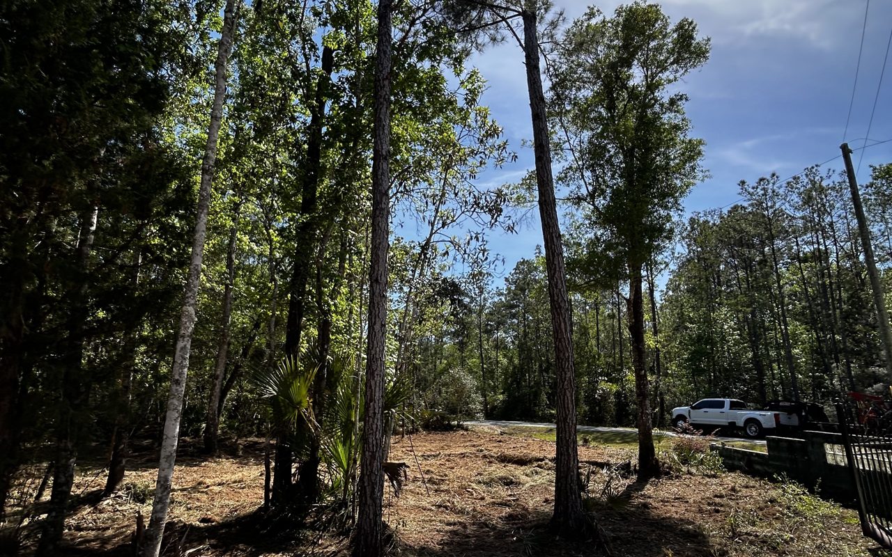 Storm Cleanup & Debris Removal service by Rowdy Forestry